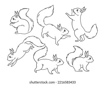 Ardilla de bosque. Colección de hermosas ardillas con cola esponjosa roja corriendo, parados y saltando. Fauna forestal. Ilustración vectorial aislada en fondo blanco.