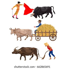 Set of working bulls. Vector illustration on the white