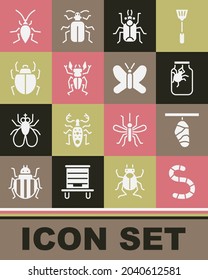 Set Worm, Butterfly cocoon, Spider in jar, Beetle bug, deer, Mite, Cockroach and  icon. Vector