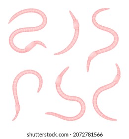 Set of worms curled isolated on white background. Collection earthworms. Cartoon design. Vector stock illustration.
