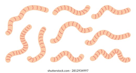 Set of worms. Hand drawn vector flat. Garden animal. Wild life underground. Slimy body. Invertebrate. Colored illustration.