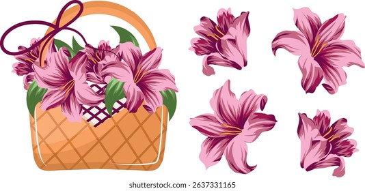 set with a woven straw basket with pink lily flowers and the lily bouquet itself, for various designs
