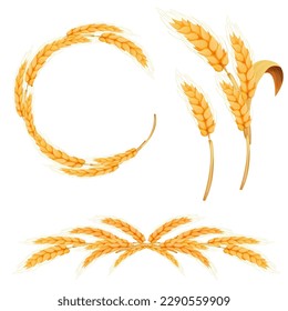 Set Wreath from spikelet, frame, border golden color wheat circle in cartoon style isolated on white background. For bakery, tags or labels