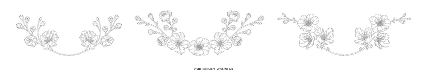 Set of wreaths with blossom apricot flowers, buds, and branches. Frame with spring flowers cherry or peach tree, vector illustration. Line art style