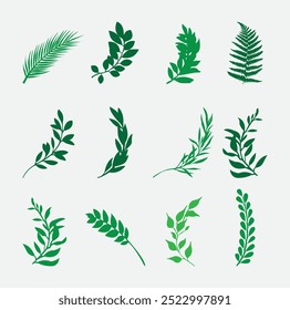 Set of wreaths and branches with leaves vector isolated on white background