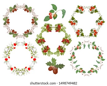 Set of wreaths. Round frame of leaves, berries, fruits, acorns, mountain ash. Vector illustration