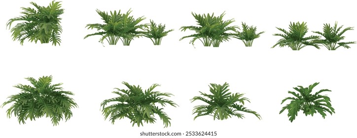 set of xanadu plants isolated  on  transparent Canvas