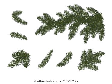 set: Xmas tree branches.  Christmas and Happy New Year decor . Isolated without a shadow. Fir tree branches.vector illustration. Eps 10