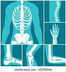Set of xray of human,human joints,knee joint,elbow joint, ankle joint, wrist, skeletal spinal bone structure of Human Spine, emblem or sign of medical diagnostic center ,flat vector illustration.