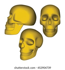Set of Yellow 3D Geometric Skulls on White. Low Poly Realistic Vector Illustration. Collection of Skulls in Different Views.