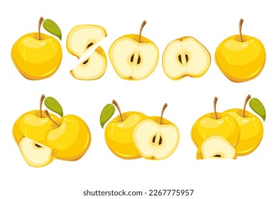A set of yellow apples.Whole apples, sliced, in half, into quarters. Ripe, juicy, yellow fruits.Vector illustration.