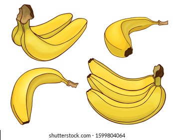 Set of yellow bananas. Banana fruit bunch. Freehand drawn sketch. Colorful vector illustration isolated on a white background. Design elements.