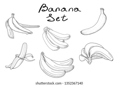 Set of yellow bananas, in graphic style with dots, black outline isolated on white background, stock vector illustration for design and decor, prints, sticker, menu
