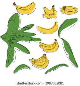 Set of yellow bananas with leaves, vector graphics.