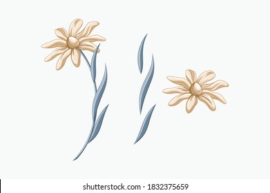 conjunto de flores y hojas amarillas y azules