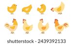 Set of yellow chicks, hens and roosters. Vector illustration in flat style is isolated on white background