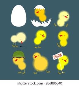 Set of yellow chicks: white egg and chicken. Chick protests and chicken in a helmet. Vector illustration