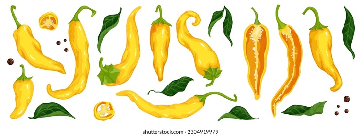 Set of yellow chili peppers, spicy vegetable halves and pieces. Vector graphics.