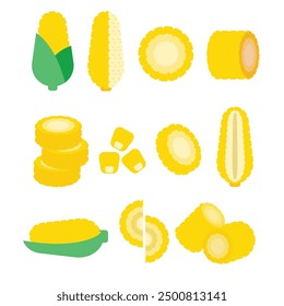 Set of yellow corn, Farm fresh corn cob product emblem for grocery shop, Slides, long and cross sections, and different positions, simple flat vector illustration of vegetables and fruits.