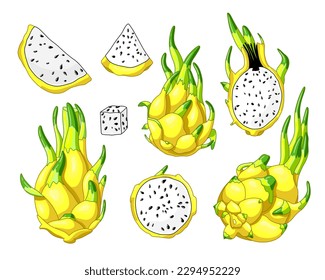 Set of yellow dragon fruits elements. Whole fruit, half and pieces of pitaya. Vector illustration, cartoon realistic style. Exotic juicy pitahaya. Tropical asian food