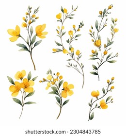 Set of yellow floral watecolor. flowers and leaves. Floral poster, invitation floral. Vector arrangements for greeting card or invitation design