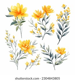 Set of yellow floral watecolor. flowers and leaves. Floral poster, invitation floral. Vector arrangements for greeting card or invitation design