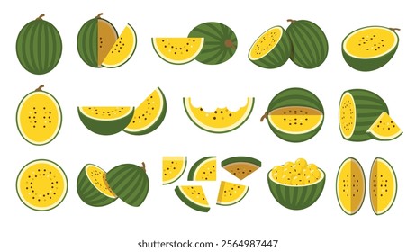 Set of Yellow green watermelon, Farm fresh Yellow watermelon product emblem for grocery shop, Slides, long and cross sections, and different positions, simple flat vector illustration of fruits.