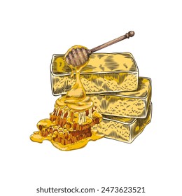 Set of yellow handmade soaps with honeycomb and honey spoon isolated on white background. Natural bars for aroma spa. Organic healthy cosmetics. A stack of soap. Hand drawn vector sketch illustration.