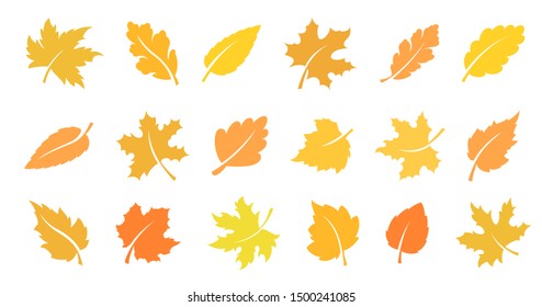 Set of yellow leaves. Autumn design element. Vector illustration