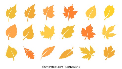 Set of yellow leaves. Autumn design element. Vector illustration