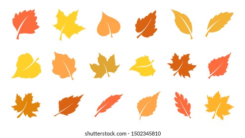 Set of yellow leaves. Autumn design element. Vector illustration