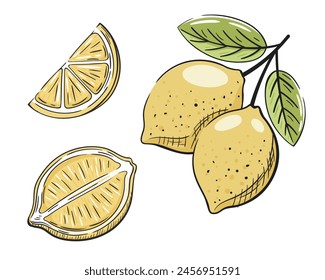 Conjunto de limones amarillos aislados sobre fondo blanco. Icono de Antiguas lemons en estilo de dibujos animados. Ilustración vectorial