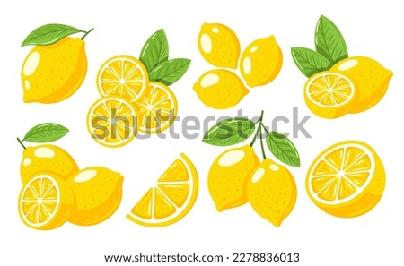 Set of yellow lemons isolated on white background. Cartoon style. Vector illustration
