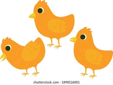 A set of yellow little chickens. Vector illustration in flat style