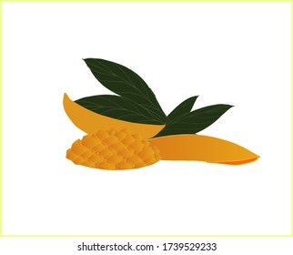 Set of yellow mango, cut parts and green leaves on a white background.