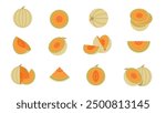 Set of yellow melon, Farm fresh cantaloupe product emblem for grocery shop, Slides, long and cross sections, and different positions, simple flat vector illustration of vegetables and fruits.