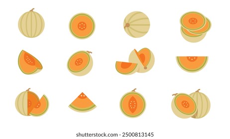 Set of yellow melon, Farm fresh cantaloupe product emblem for grocery shop, Slides, long and cross sections, and different positions, simple flat vector illustration of vegetables and fruits.