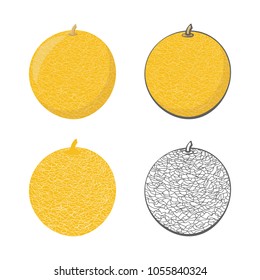 Set of yellow melon icons. Colorful and outline. Vector illustration.