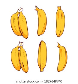 Juego de mini bananas amarillas. Dibujo de esbozo. Ilustración vectorial sobre fondo blanco.