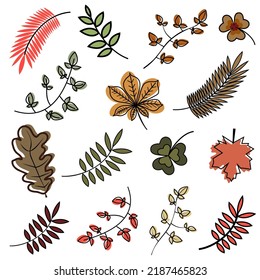 set of yellow orange and green autumn maple oak and chestnut leaves