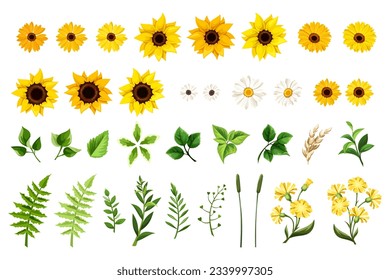 Set of yellow and orange sunflowers, white daisy flowers, dandelion flowers, gerbera flowers, and green leaves and grasses isolated on a white background. Vector illustration