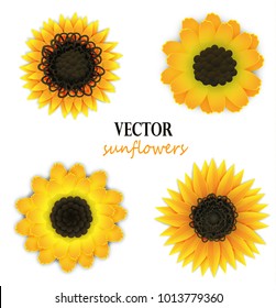 Set of yellow paper sunflowers