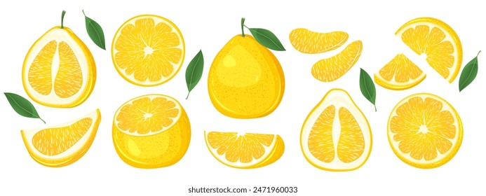 Set of yellow pomelo. Fresh tropical fruits whole, cut in half, pomelo slices. Vector illustration.