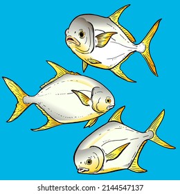 conjunto de peces pomfret amarillos para la caja premium