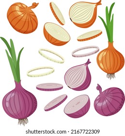 Set of yellow and red onions with green leaves, onion halves, slices. Vector illustration in flat style isolated on white background.