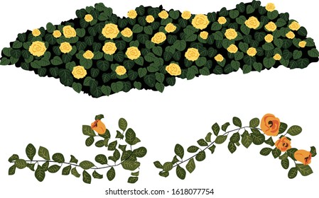 Set Of Yellow Rose Bush And Rose Vine 