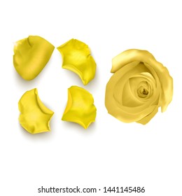 Set of Yellow rose petals , close-up on a white background can be used for design of romantic greetings. Vector Eps10 illustration