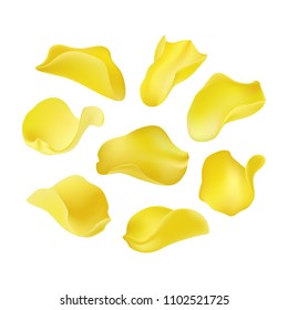 Set of yellow rose petals, garden flower, botanical. 3D effect. Vector