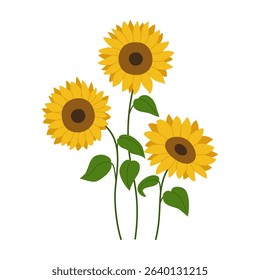 Set of yellow sunflowers. Blooming summer plants. Hand drawn vector illustration isolated on white background, modern flat cartoon style.