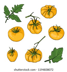 Set with yellow tomatoes and leaves on white background. Vector. Illustration
